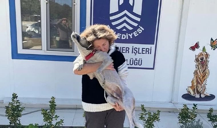 Depremden Kurtulan Ege’nin Hayvan Sevgesi