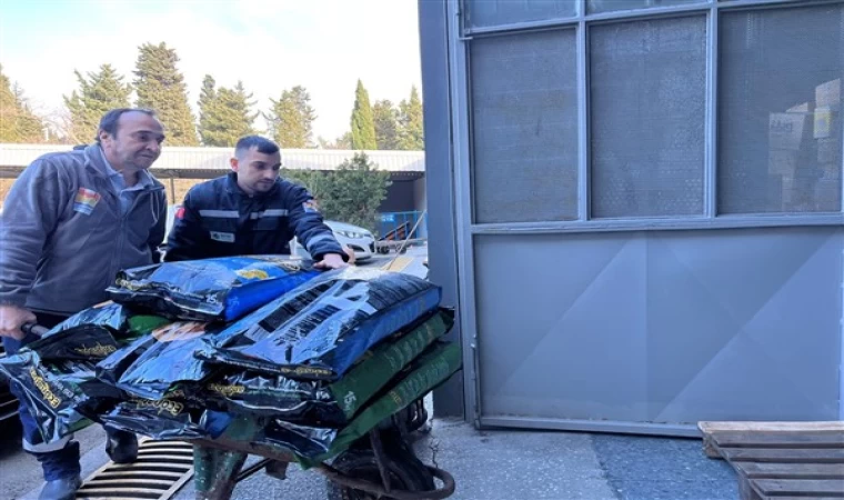 Zeytinburnu Belediyesi “Patili Dostları” unutmadı