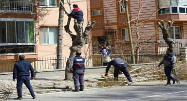 Afyonkarahisar Bahara Hazırlık Yapıyor