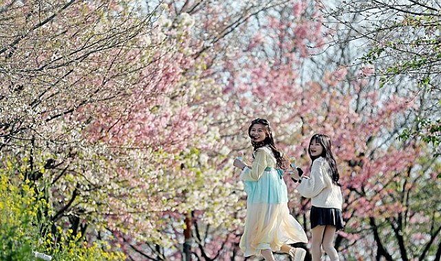 Bahar çiçekleri turizmi canlandırıyor