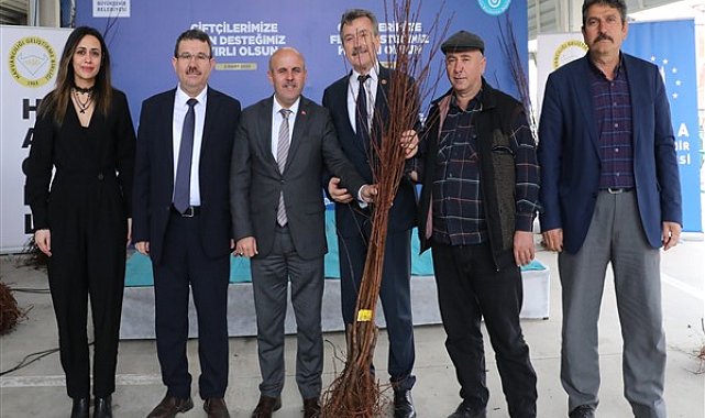Bursa Büyükşehir, Büyükorhanlı çiftçilere, 5 bin 200 adet meyve fidanı dağıttı