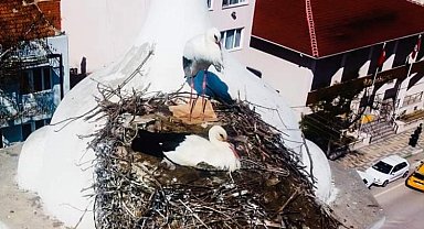Bursa Yenişehir'de Şungar çifti geleneği bozmadı