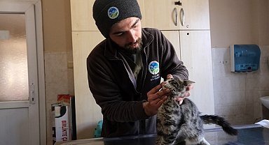 Büyükşehir'in veteriner ekibi, Antakya'da faaliyetlerini sürdürüyor