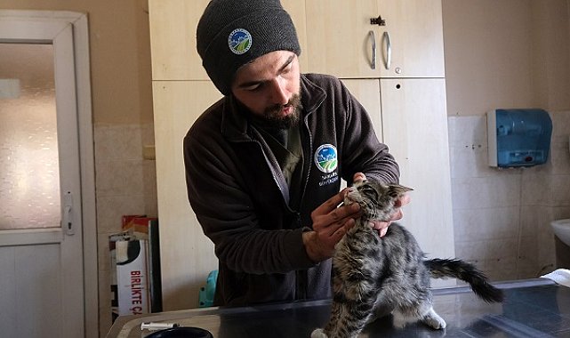 Büyükşehir'in veteriner ekibi, Antakya'da faaliyetlerini sürdürüyor