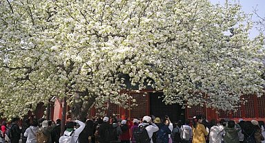 Çin’de turizm canlandı