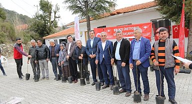 Dalaman'da Kaya İnciri ekimi