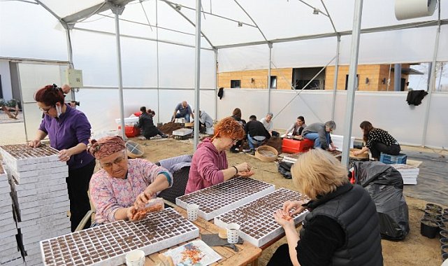 Efes'in tohumları deprem bölgesinde filizlenecek