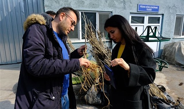 Eskişehir'den İzmir'e dut fidanı hibesi