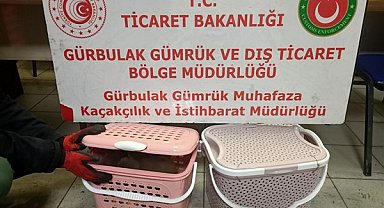 Gürbulak Gümrük Kapısı'nda 11 adet yavru maymun ele geçirildi