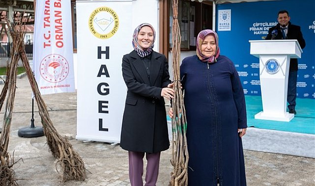 Harmancık’ın marka değeri ceviz olacak