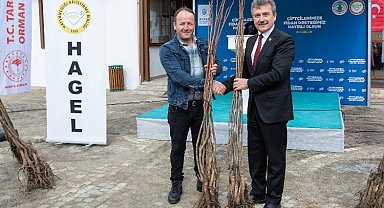 Harmancıklı çiftçiye 6 bini aşkın ceviz fidanı