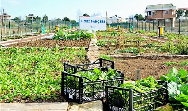 Hobi Bahçeleri’nin dördüncü dönem talihlileri belli oldu