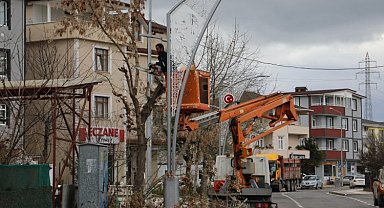 İzmit'te ağaç budama çalışmaları sürüyor
