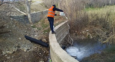 Kahta Belediyesi, ilçede larva ilaçlama çalışmalarını başlattı