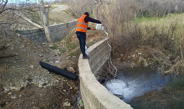Kahta Belediyesi, ilçede larva ilaçlama çalışmalarını başlattı