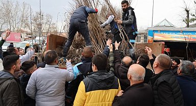 Kayseri Hacılar'dan üreticiye fidan