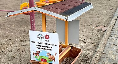 Kayseri Talas deprem bölgesinde can dostları da unutmuyor