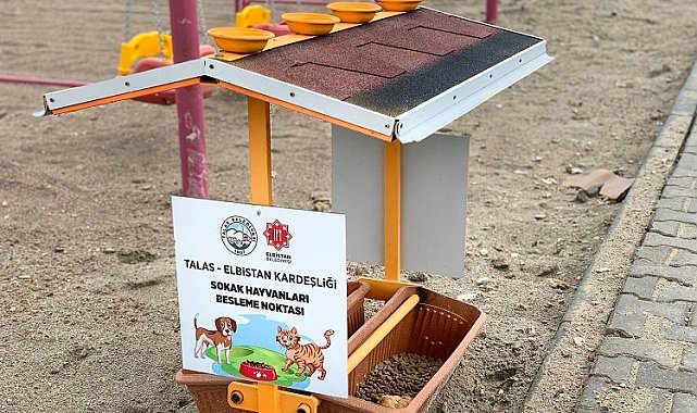 Kayseri Talas deprem bölgesinde can dostları da unutmuyor