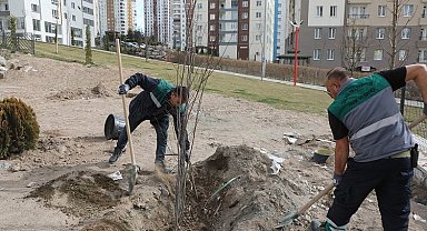 Kayseri Talas'ta ağaçlandırma sezonu açıldı