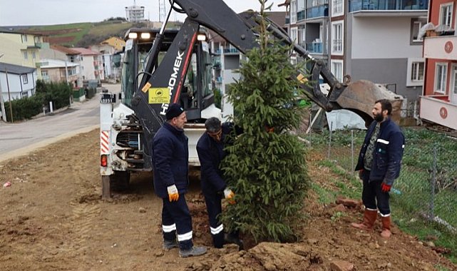 Kocaeli İzmit'te ağaçlandırma çalışması