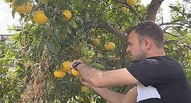 Küçükçekmece Belediyesi'nden Hatay'daki Üreticilere Destek!
