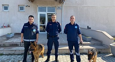 Manisa'da iki can dostunu Jandarma sahiplendi