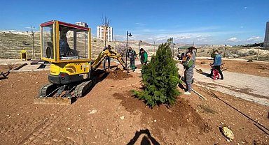 Mardin Artuklu Belediyesi kenti yeşillendiriyor