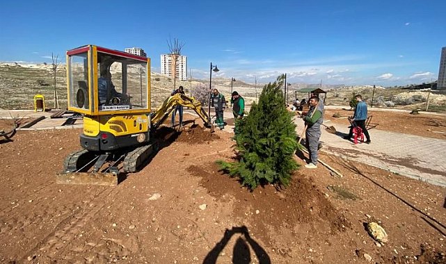 Mardin Artuklu Belediyesi kenti yeşillendiriyor