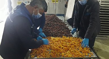Muğla 'Malatya Kayısıları'nı ücretsiz dağıtacak