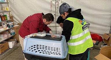Patibüs, afet bölgesindde can dostlarının yaralarını sarıyor