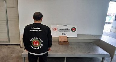 Sarp Sınır Kapısı’nda su kaplumbağaları ele geçirildi