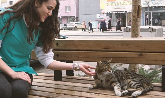 'Serseri' Bursa Gürsu'nun maskotu oldu