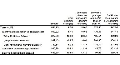 Tarım ürünleri üretici fiyat endeksi (Tarım-ÜFE) yıllık %127,56, aylık %6,58 arttı