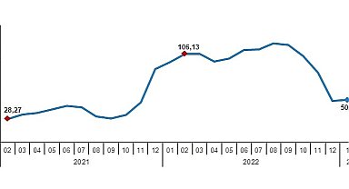 TÜİK: Yurt Dışı Üretici Fiyat Endeksi (YD-ÜFE) yıllık %48,13, aylık %0,42 arttı