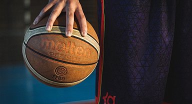 Türkiye Sigorta Basketbol Süper Ligi'nin 20. haftası