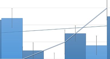 Verusa Holding'ten pay geri alımı