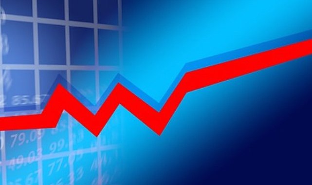 Verusa Holding'ten pay geri alımı