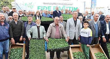 Gaziantep Büyükşehir’in çiftçiye fide desteği sürüyor