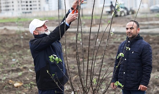 Kayseri Kocasinan'dan meyve bahçeli park projesi