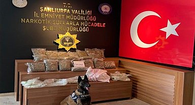 Şanlıurfa'da uyuşturucu operasyonu