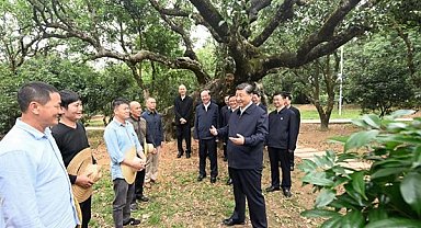 Xi Jinping, Maoming kentinde