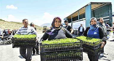 ABB, Kahramanmaraş'ta domates ve Maraş biberi fidesi dağıttı