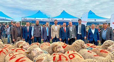 Balıkesir Büyükşehir Belediyesi’nden üreticiye üreticilere 149 damızlık koç dağıttı