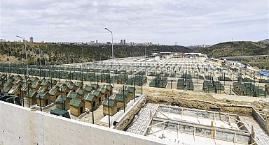 Başkentte sokak hayvanlarına AB standartlarında merkez