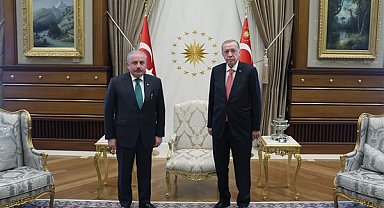 Cumhurbaşkanı Erdoğan, TBMM Başkanı Şentop’u kabul etti