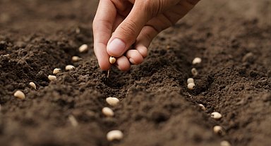 Dünya sofralarını Türkiye’de yetişen ürünler donatıyor