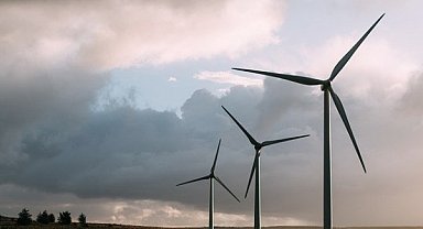Entek Elektrik'in ön lisans başvurusu