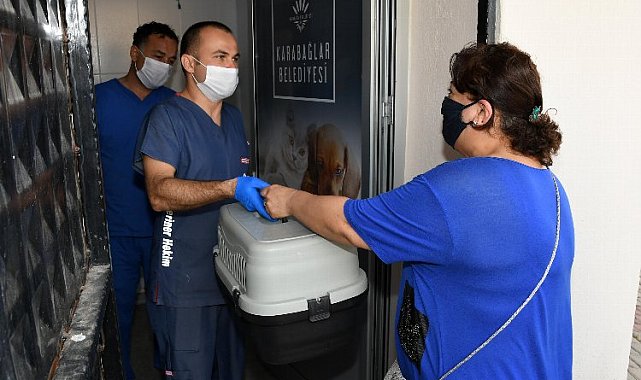 Hayvan kısırlaştırmada Karabağlar'da online dönem