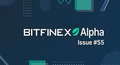 Kripto yatırımcıları, Bitcoin varlıklarını ellerinde tutmaya devam ediyor!