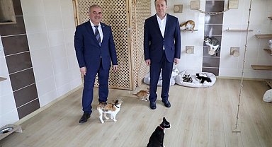 Milletvekili Kaya, Sokak Hayvanları Rehabilitasyon Merkezi’ni ziyaret etti